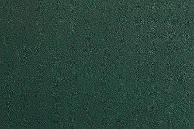 Green Leather Look (9)