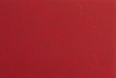 Red Leather Look (12)